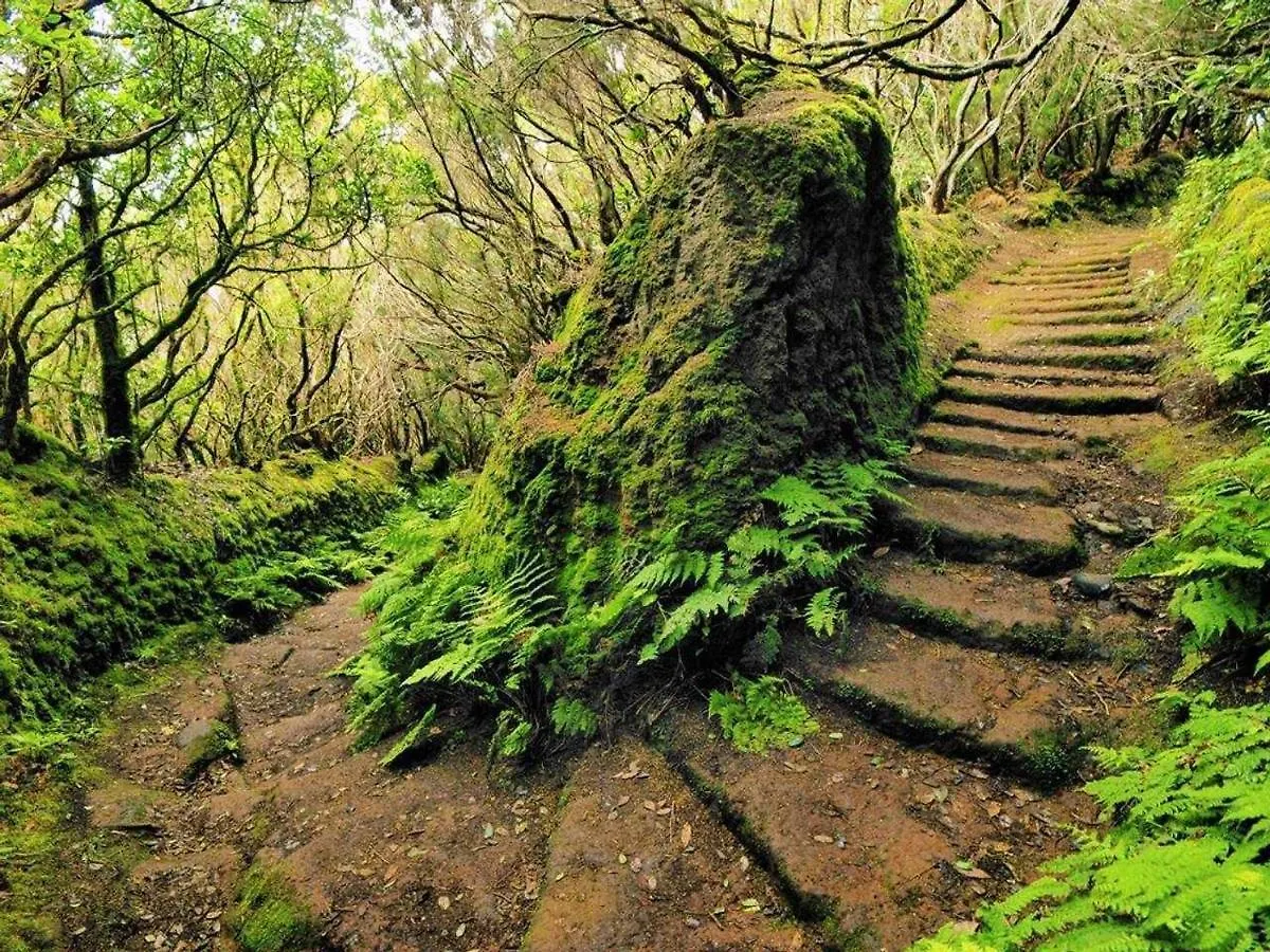 公寓 拉克鲁斯Vistas Al Teide II Piscina Climatizada公寓